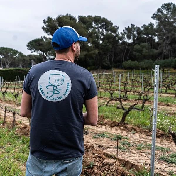Glace carbonique pour viticulteurs